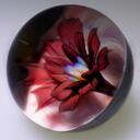 Dan Neff - @NafGlass - Twitter