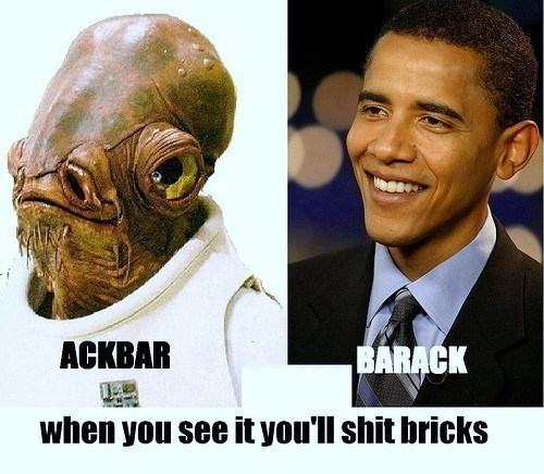 RoflOmgBqqNate's profile picture. 