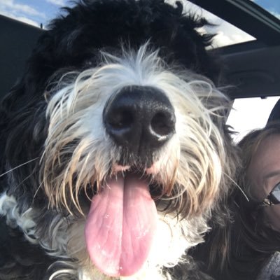 ronadt's profile picture. 