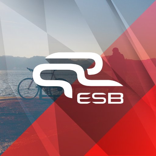 ESB connects ebikes to the web via a smartphone app and enhances battery performance while providing diagnostic tools and a new Social Experience.