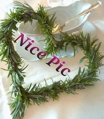 DiLKash33's profile picture. -
#Qatil_Piyar
#Best_Poetry
#Nice_Poetry
#Urdu_Poetry
#Urdu_Shairi
#Urdu_Adaab
#Best_Shairi
NO_1 Poetry K Liye
-
Follow
@Pak_TeN_SpoRts