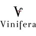 Vinifera (@vinifera_off) Twitter profile photo