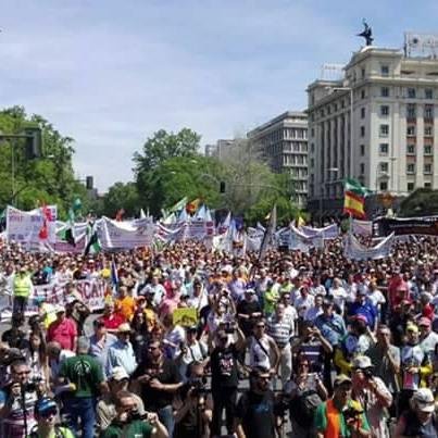 El 5 de junio de 2016 más de 200.000 conservacionistas nos manifestamos en Madrid para defender la Pesca, Caza y Mundo Rural. #5JPescaCazaMundoRural