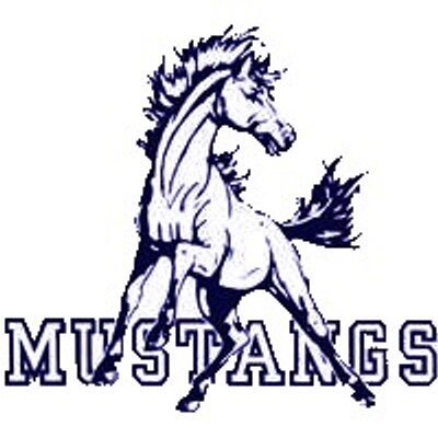 BVN Mustangs