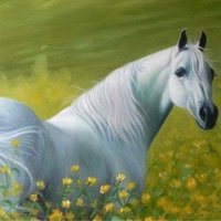 muummuum (@muummuum4) 's Twitter Profile