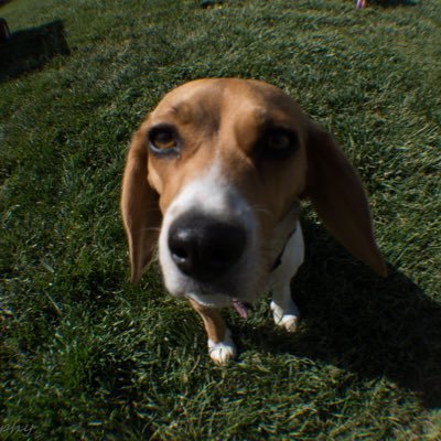 hotrod79118's profile picture. 