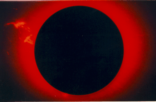 envirodesign's profile picture. Eco friendly sucks. Don't buy anything