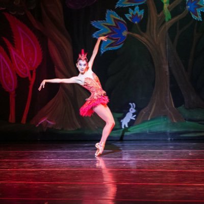 psevhan's profile picture. Margaret Severin-Hansen from NY-Raleigh, NC 98 Principal Ballerina Carolina Ballet/ Artistic Director CBSI/ Ballet Director TAD/ Ass Director CYB / IC Arbonne