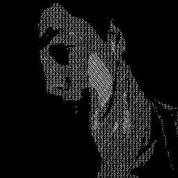 ciosif2's profile picture. 