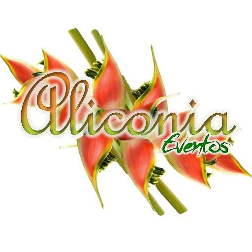 Planeación y Organización de eventos como: Bautizos, 15 años, Bodas, Fiestas Infantiles, cumpleaños temáticos y personalizados, despedidas de solter@s, babyS