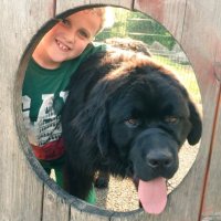 Hagrid Newfoundland (@autismdoghagrid) 's Twitter Profile