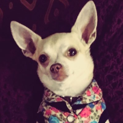 Vconn24's profile picture. 