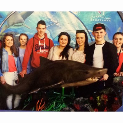 Evan_walsh321's profile picture. 