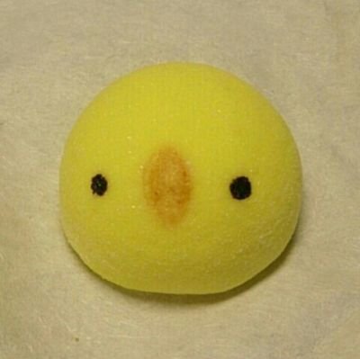 s20836718's profile picture. 理科 管弦 国流 Perfume かわいい鳥