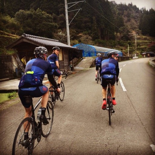 Kyoto’s Premiere Cycling Tour Company. DMC. Japan Tours, Travel Arrangements, and Tour Support.