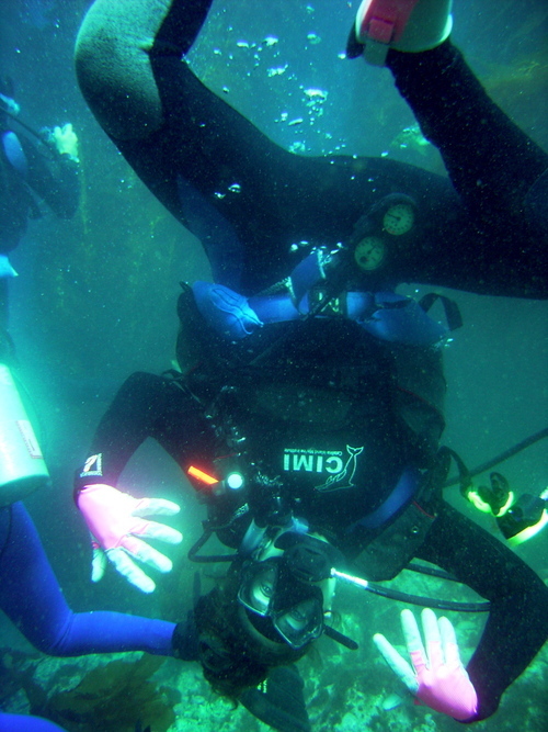 scubaxx's profile picture. 