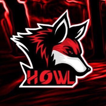 gg_howl's profile picture. HowlGG is an eSports CSGO team dedicated to improving our game|Sponsored By @csgo_vortex Use code HowlGG for 7% your next purchase!!