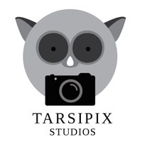 Brian (@tarsipix) | Toronto Event Photographer(@Tarsipix) 's Twitter Profile Photo