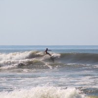 Porter (@bamaskimmer) 's Twitter Profile