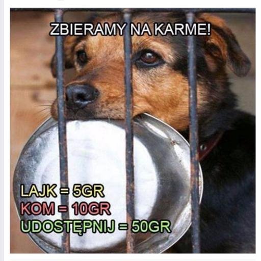 horacy43's profile picture. 