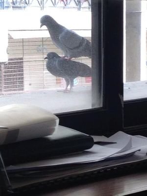 isakeklid's profile picture. That awkward moment between birth and death