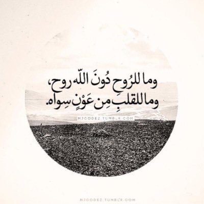 السّعادة ﻻ تحتاج إلى معجزات عظيمة كلّ ما تحتاجه قلب متسامح وجه مبتسم قناعة بالنّصيب و ثقة تامّة بالله ♡