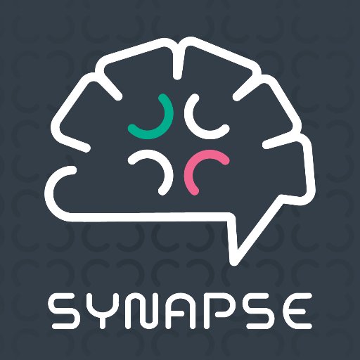 Synapse Social Media is a consulting firm that specializes in helping companies develop their Social Media Strategy.