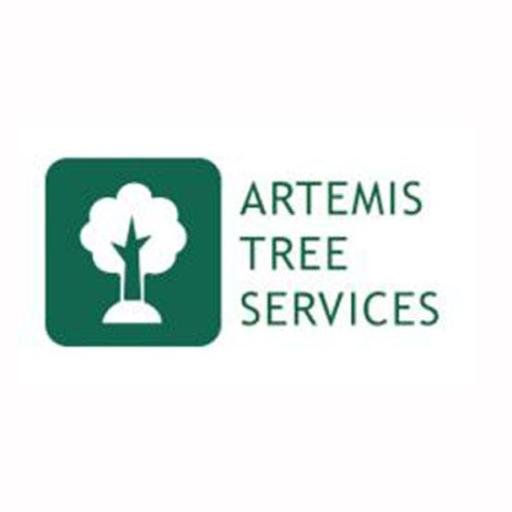 An industry leader for tree work in London and around the M25, Artemis provide a service based on quality, professionalism and value for money.