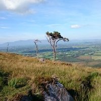 ros aodha (@ros_aodha) 's Twitter Profile