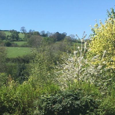 Katie55Davies's profile picture. 