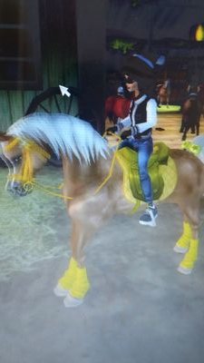 ❤I love my Star Stable Horses ❤
❤ Lv 17 ❤
  ❤ 55 horses ❤