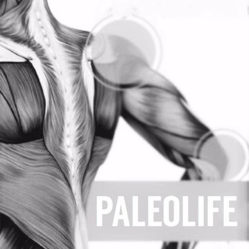 PaleolifeNow's profile picture. Human Health From First Principles