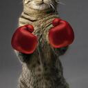 Thea Archer - @tla1212 - Twitter