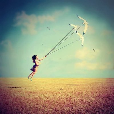 citations_lfl's profile picture. 