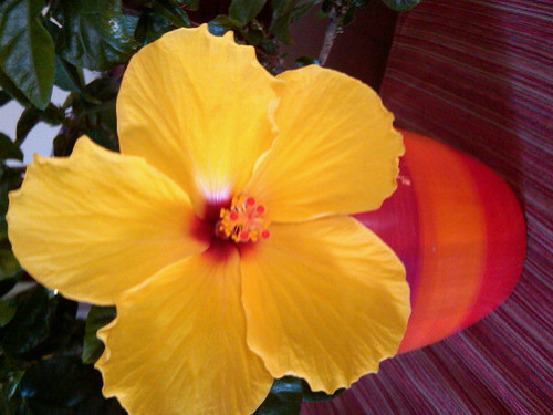 DAKB's profile picture. 