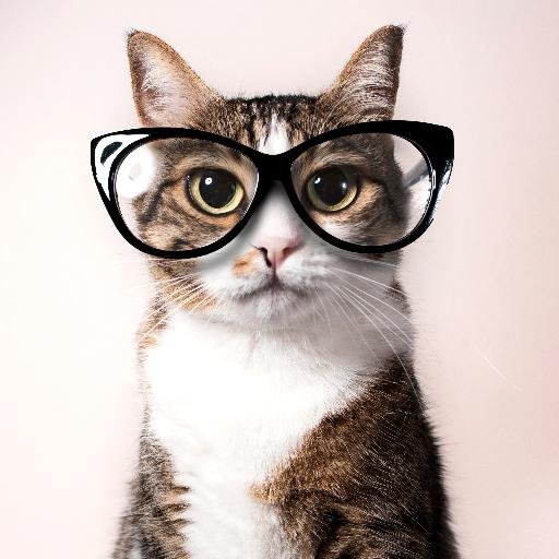 We comb the galaxy and send you postcards - once daily emails of the coolest videos, photos and stories on cats.