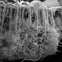 bxv_neurosci (@bxv_neurosci) 's Twitter Profile Photo bxv_neurosci (@bxv_neurosci) 's Twitter Profile Photo