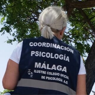 Coordinadora de Málaga de GIPED/COPAO (Grupo Intervención Psicológica Emergencias Crisis y Desastres del Colegio Oficial de Psicologia d Andalucia Oriental).