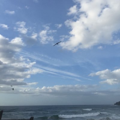 awakin's profile picture. Awakin Alumni