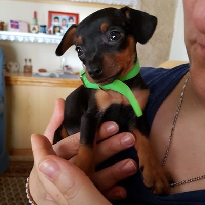 carloschis's profile picture. Da igual nuestra situación en la vida. Todos, absolutamente todos disponemos de un corazón puro capaz de albergar, dar amor y gratitud. Así  cambiamos el mundo.