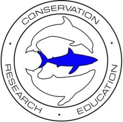 Shark & marine conservation & research. Educational, fun, shark interaction programs based out of Hawaii with projects around the world. #oneoceandiving