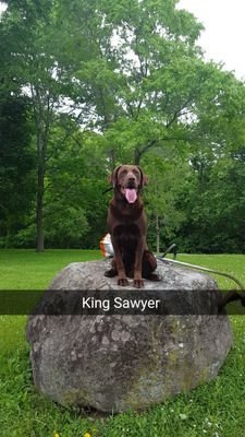 Travis Margelofsky Profile