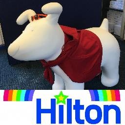 I am Bow ( as in Rainbow ) the Hilton Snowdog! I'm part of a whole family of @great_snowdogs my colourful design will be revealed soon , clue is in my name