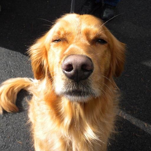 judyblue124's profile picture. Just this girl with a world turned upside down, trying to figure it out......