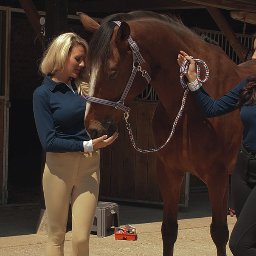 We supply top quality clothing for country and horse lovers