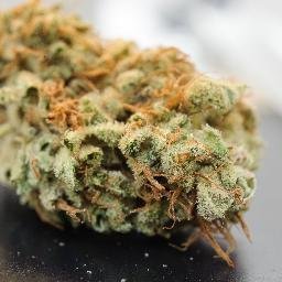 Maine Cannabis Company produces only high quality, safe and pure cannabis in the great state of Maine.