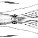 Matthew Bibb - @MHBibb - Twitter