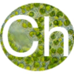 Team_Chlorella's profile picture. 
