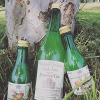 Watergull Orchards (@watergull) 's Twitter Profile