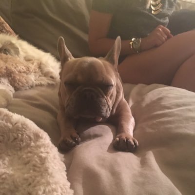 harrball21's profile picture. they did surgery on a grape